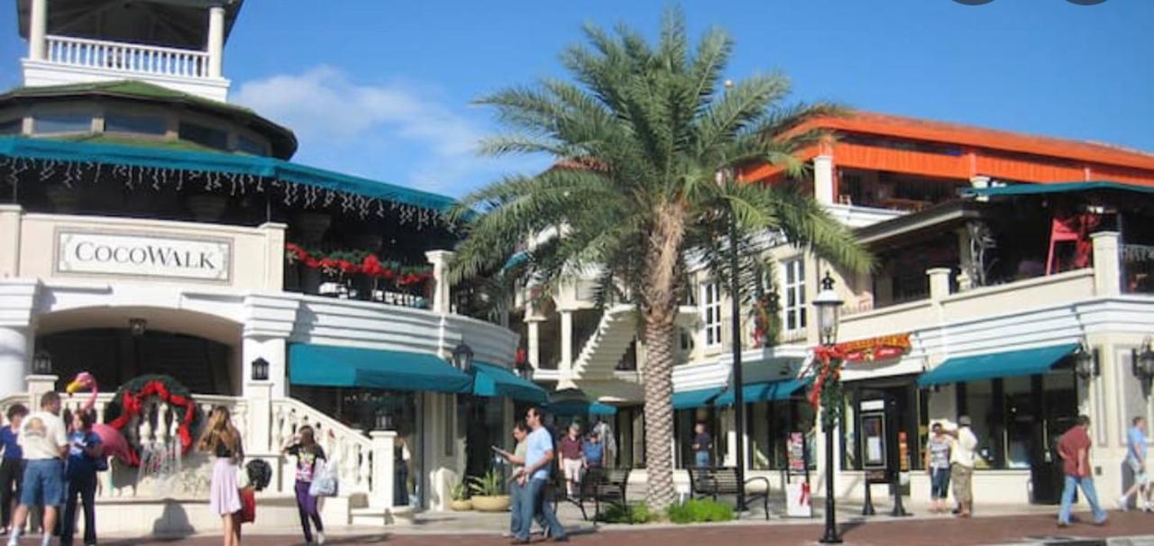 迈阿密Coconut Grove Green Day'S公寓 外观 照片